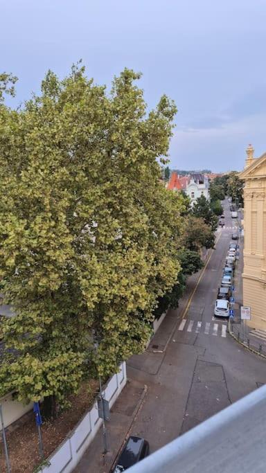 Lovely Old Town Apartment Братислава Екстериор снимка